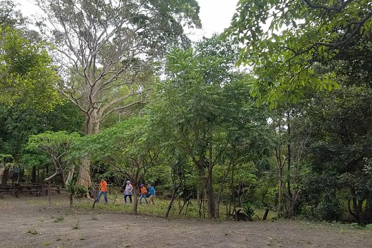 Tour image 6